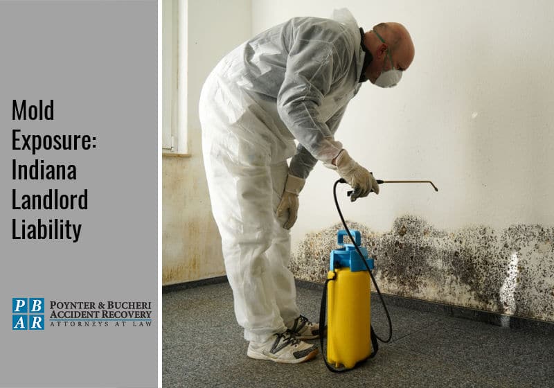 black mold and landlord liability