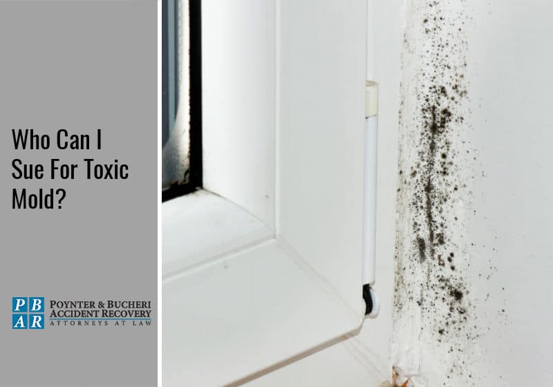 who to sue for toxic mold