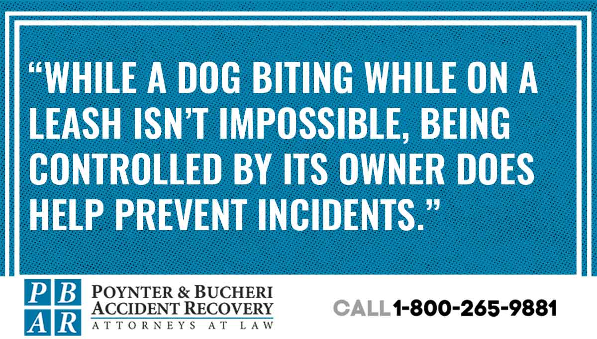 Indiana Leash Law How Does It Work?