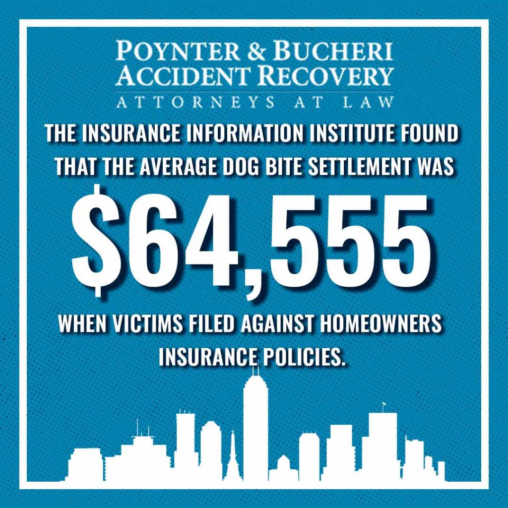 How To Maximize Your Dog Bite Settlement