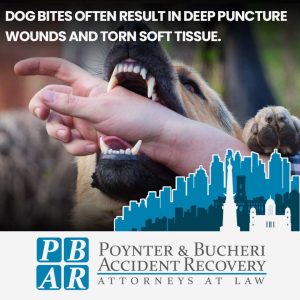 dog bite damage