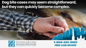 dog bite cases